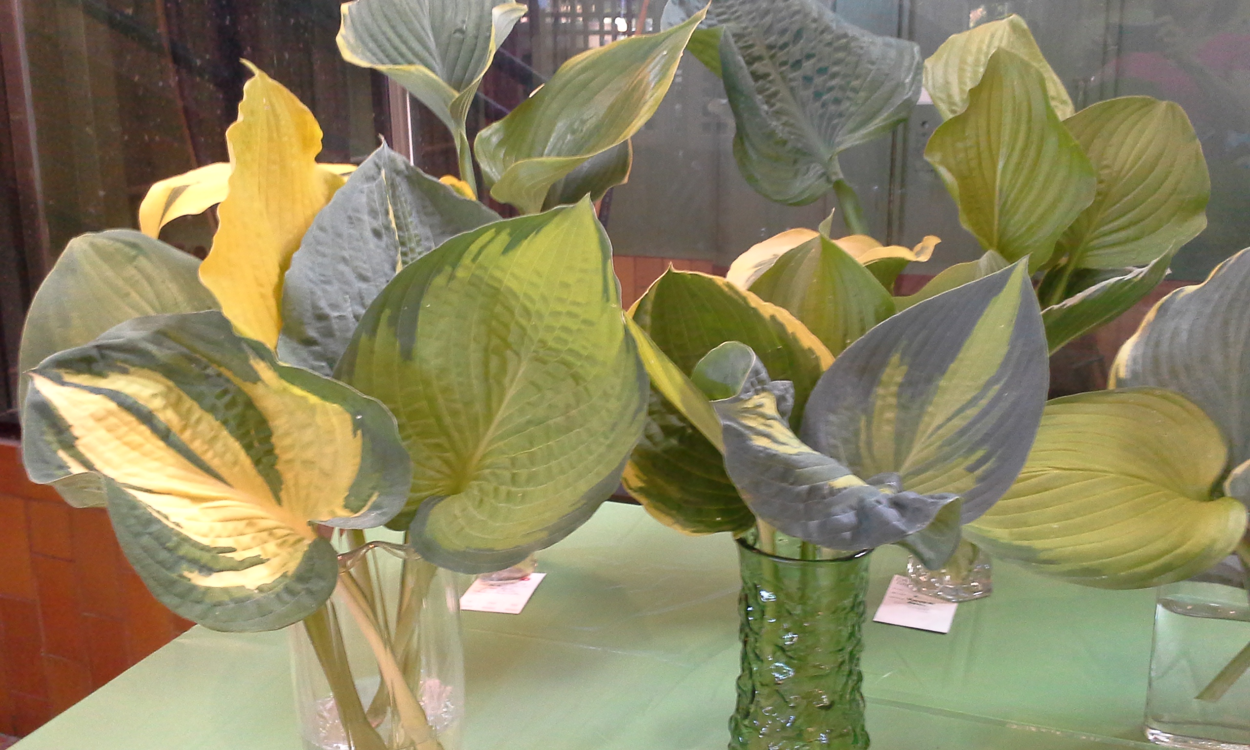 Pickering Horticultural Society Annual Flower Show