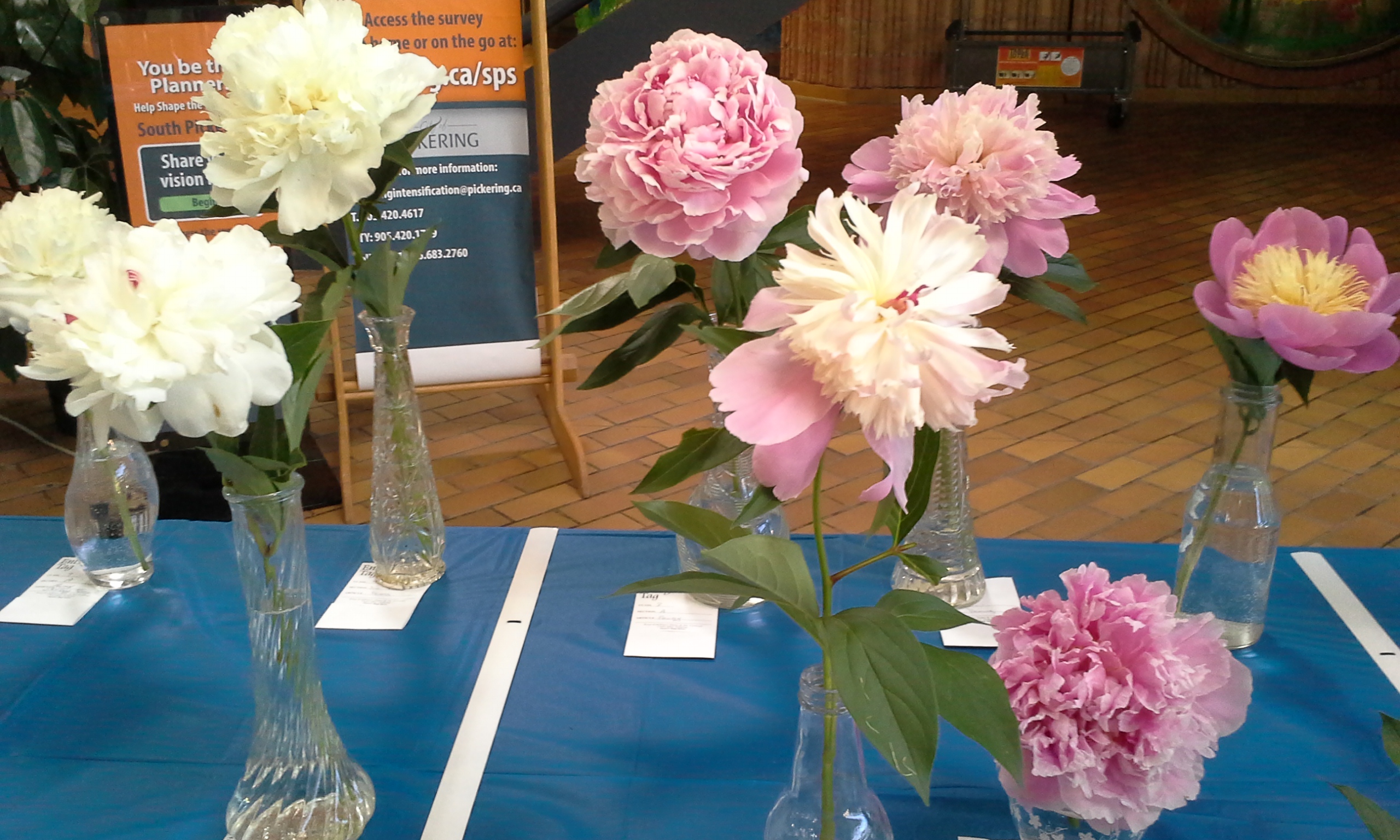 Pickering Horticultural Society Annual Flower Show