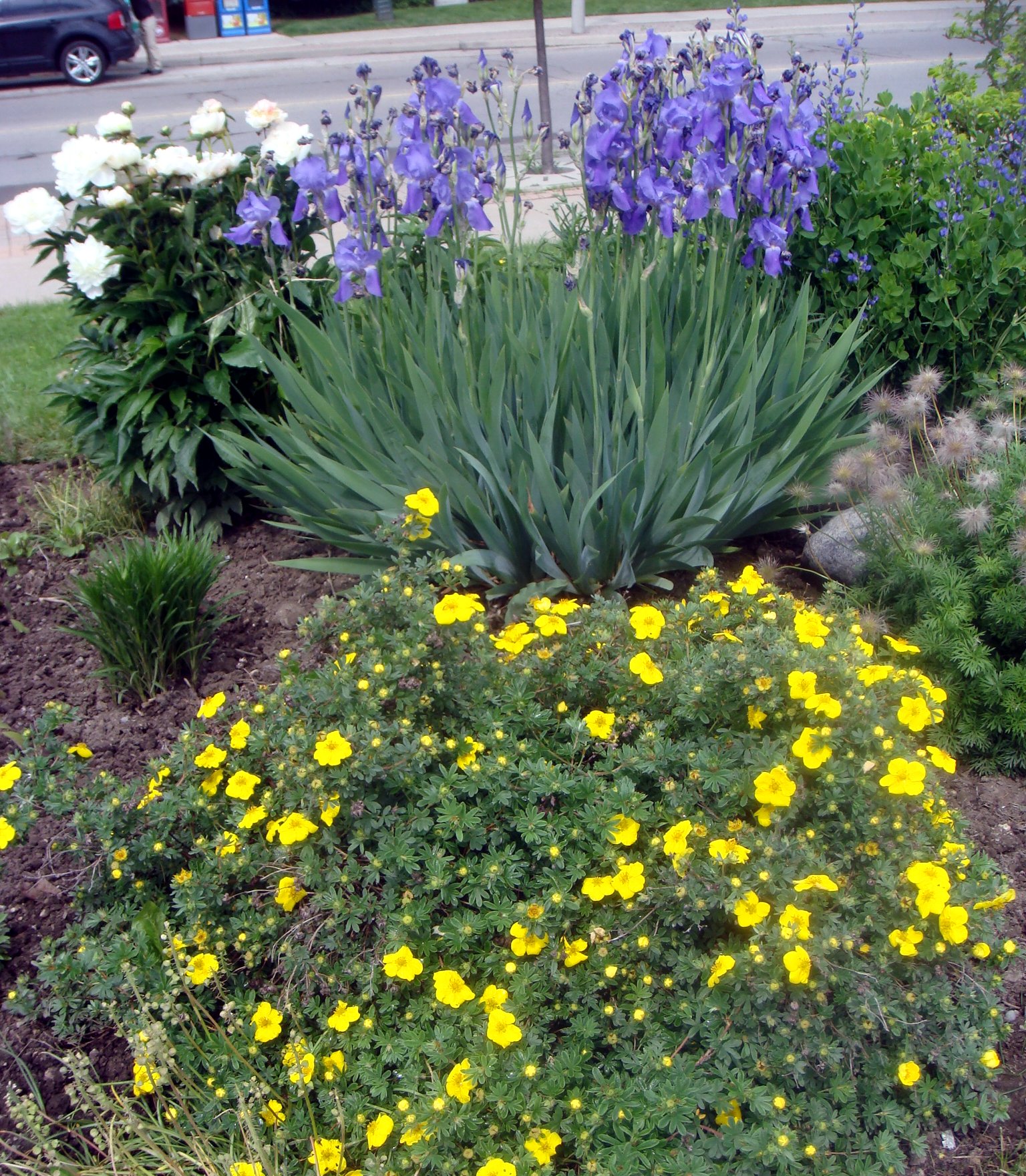 Bicentennial Gardens 2018