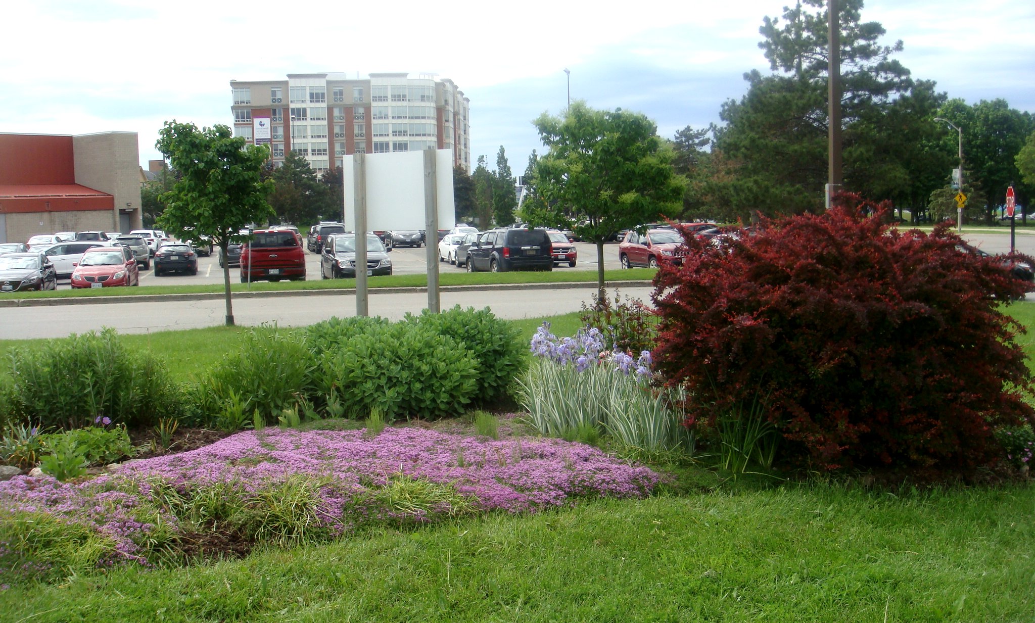 Bicentennial Gardens 2018