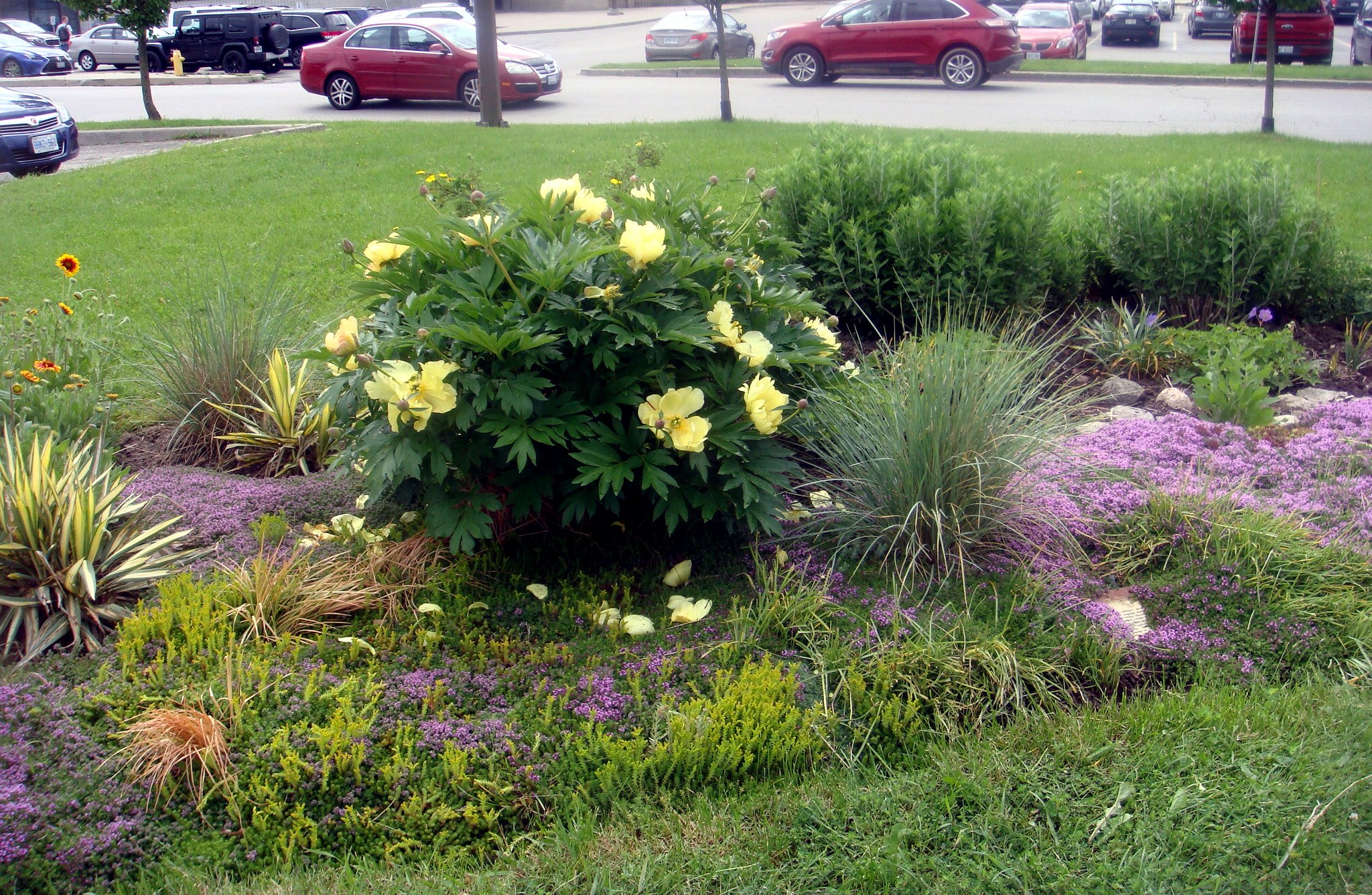 Bicentennial Gardens 2018