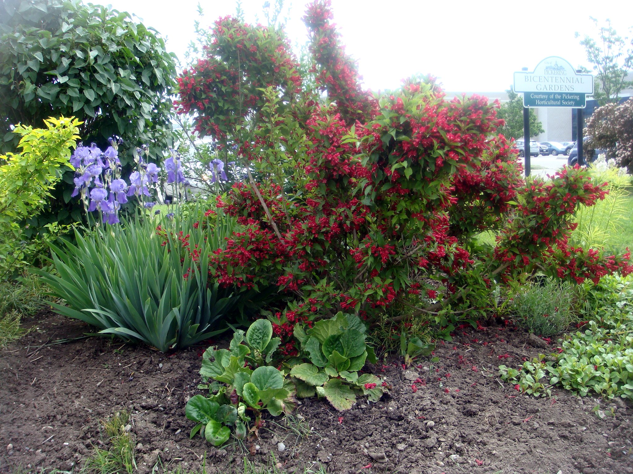 Bicentennial Gardens 2018