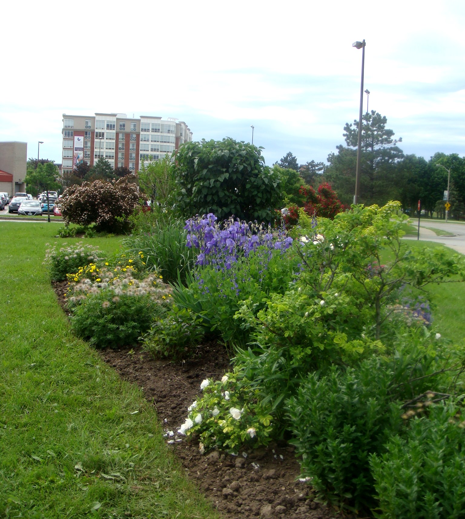 Bicentennial Gardens 2018