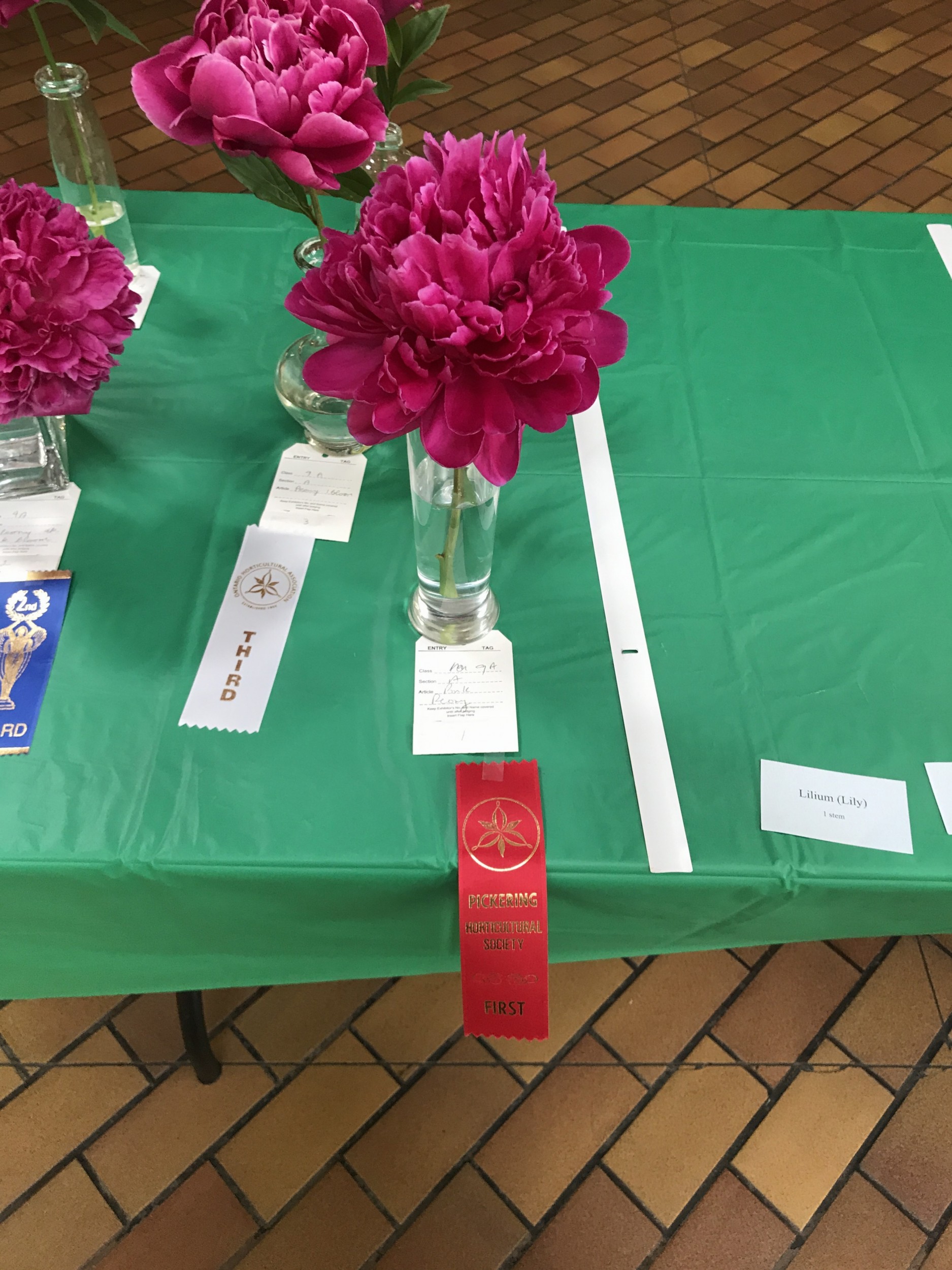 The Winning Peony