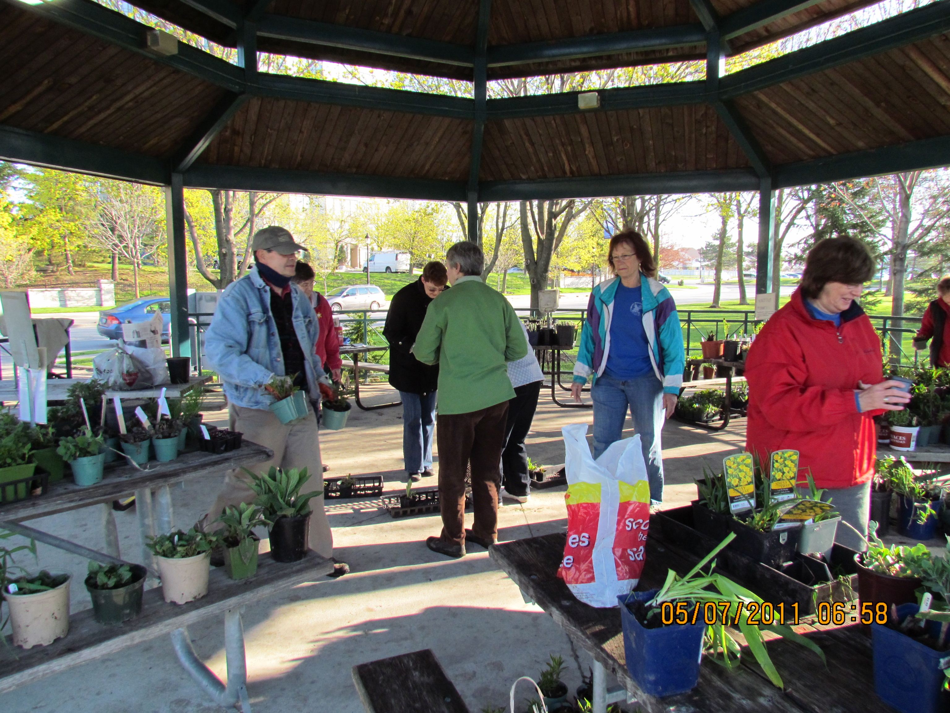 Pickering Horticultural Society Photo Gallery 2011 Plant Sale