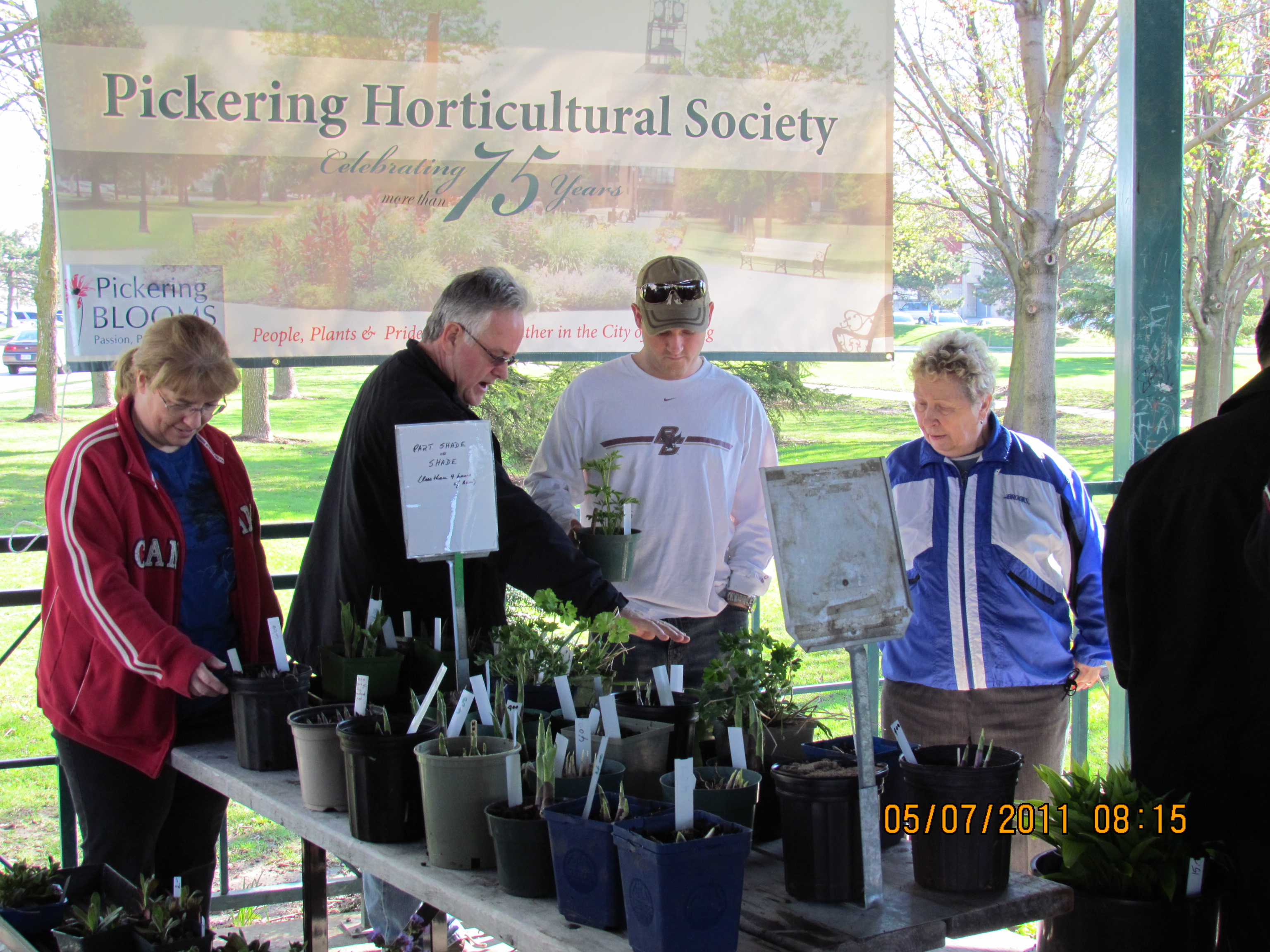 Pickering Horticultural Society Photo Gallery 2011 Plant Sale