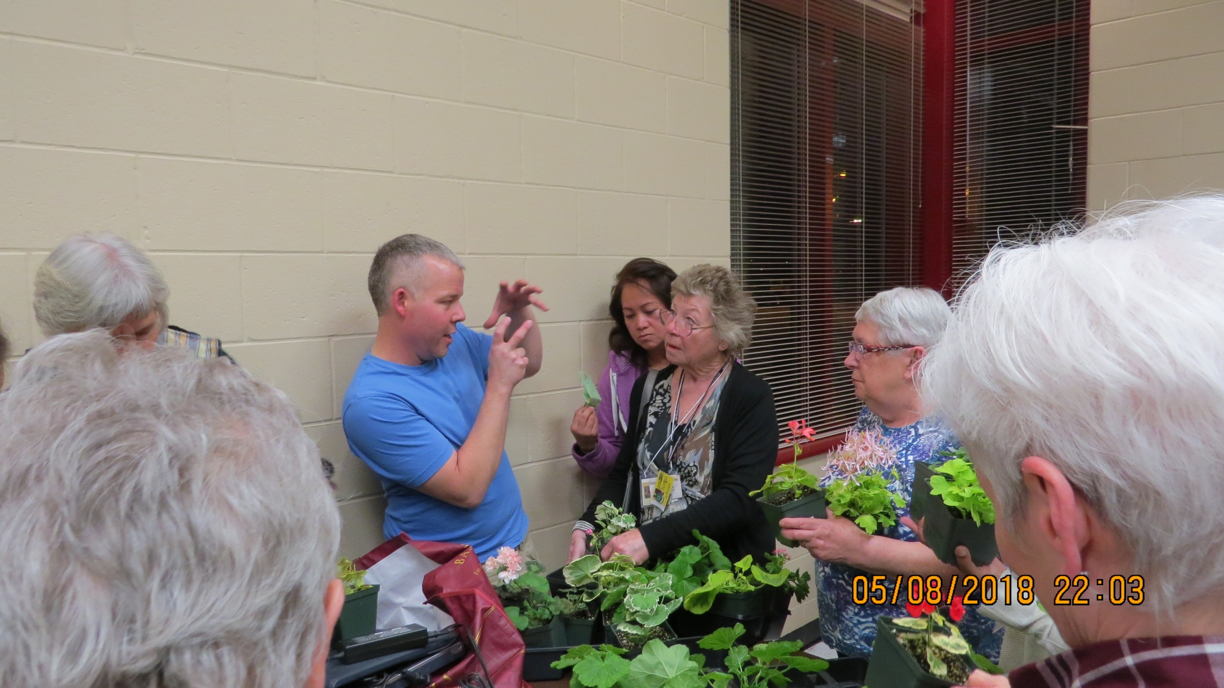 Bill Grainger and his Pelargoniums