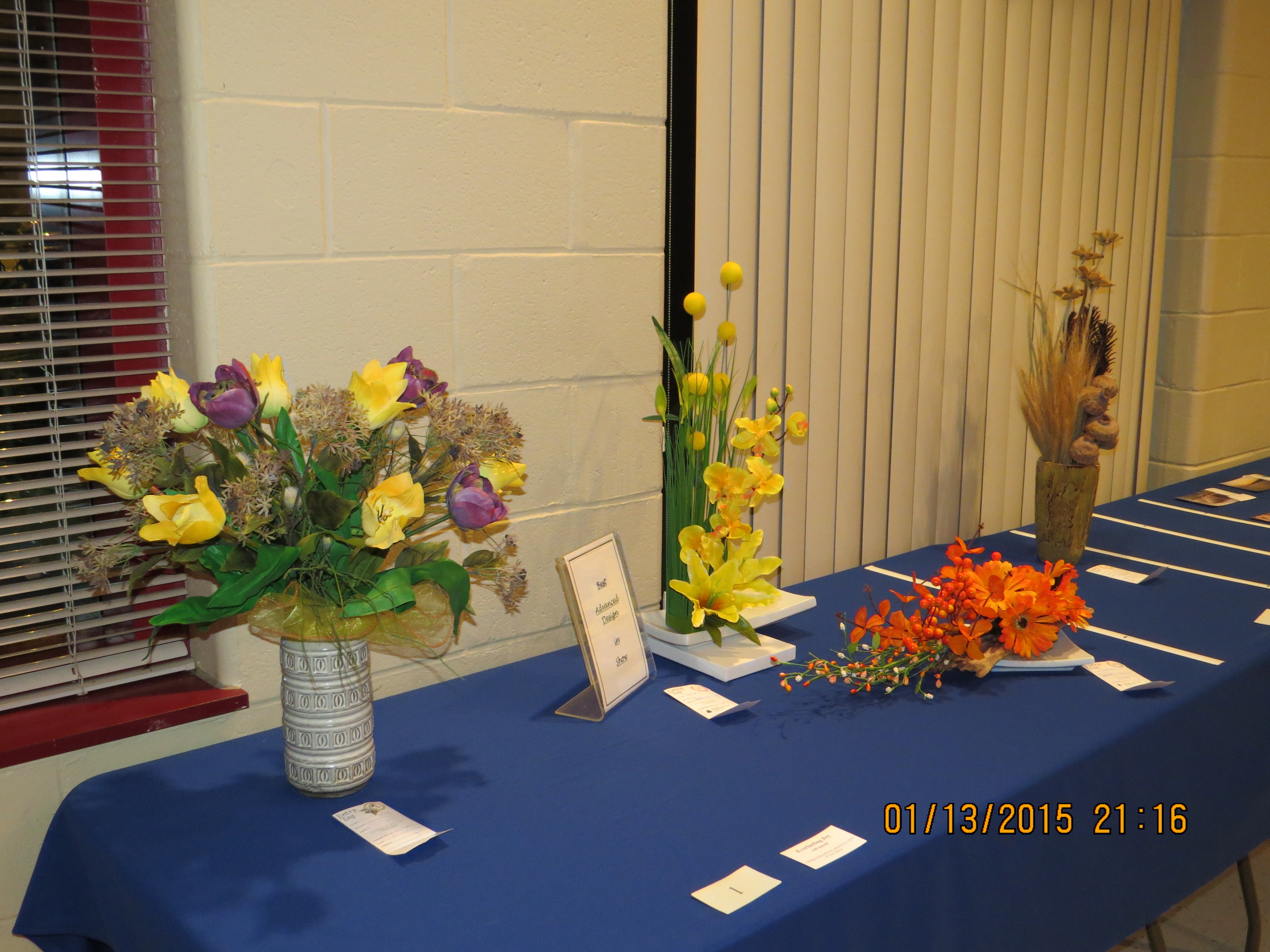 Pickering Horticultural Society Photo Gallery 2015 January Meeting Urban Nature