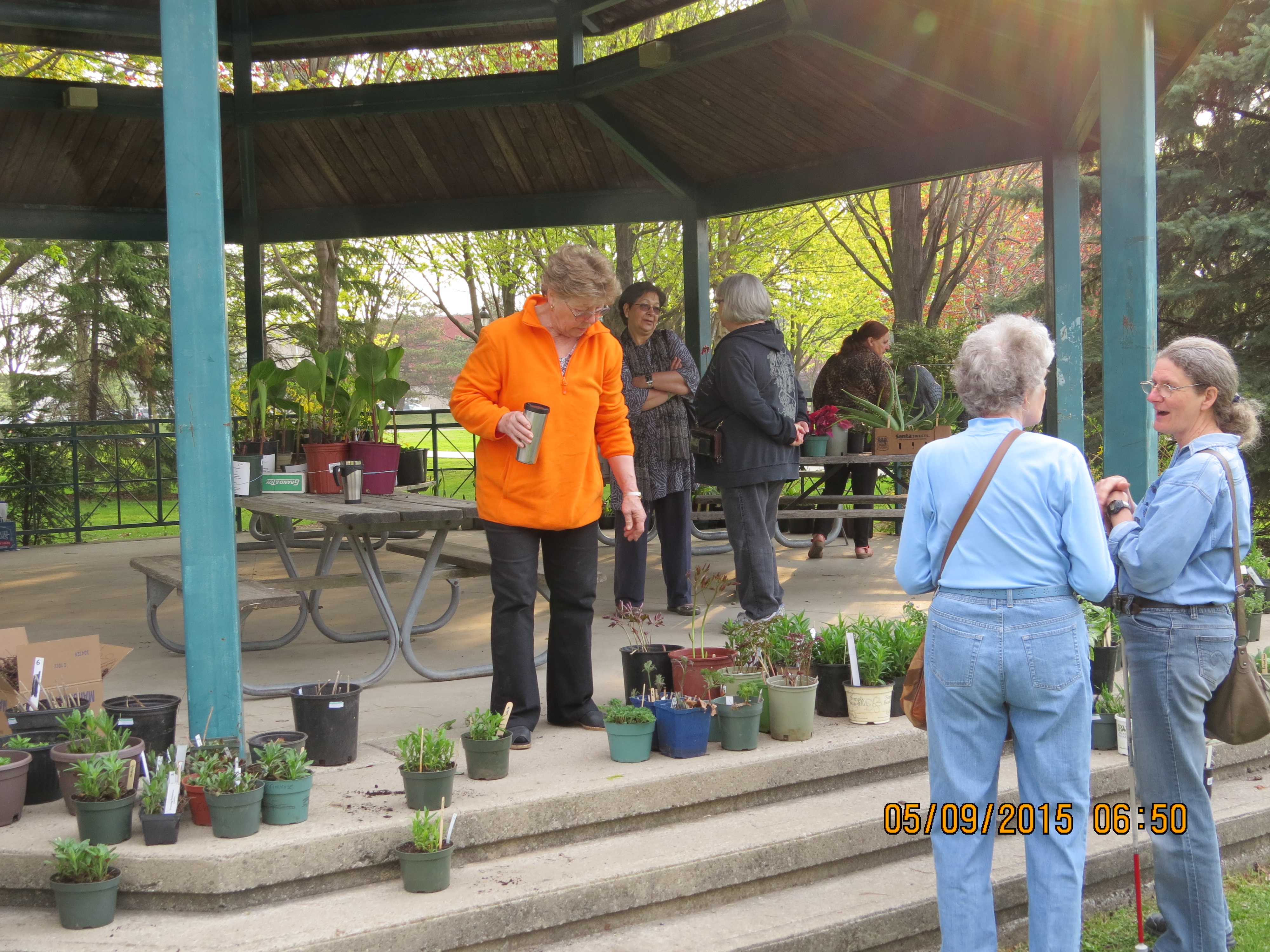 Pickering Horticultural Society Photo Gallery 2015 Plant Sale