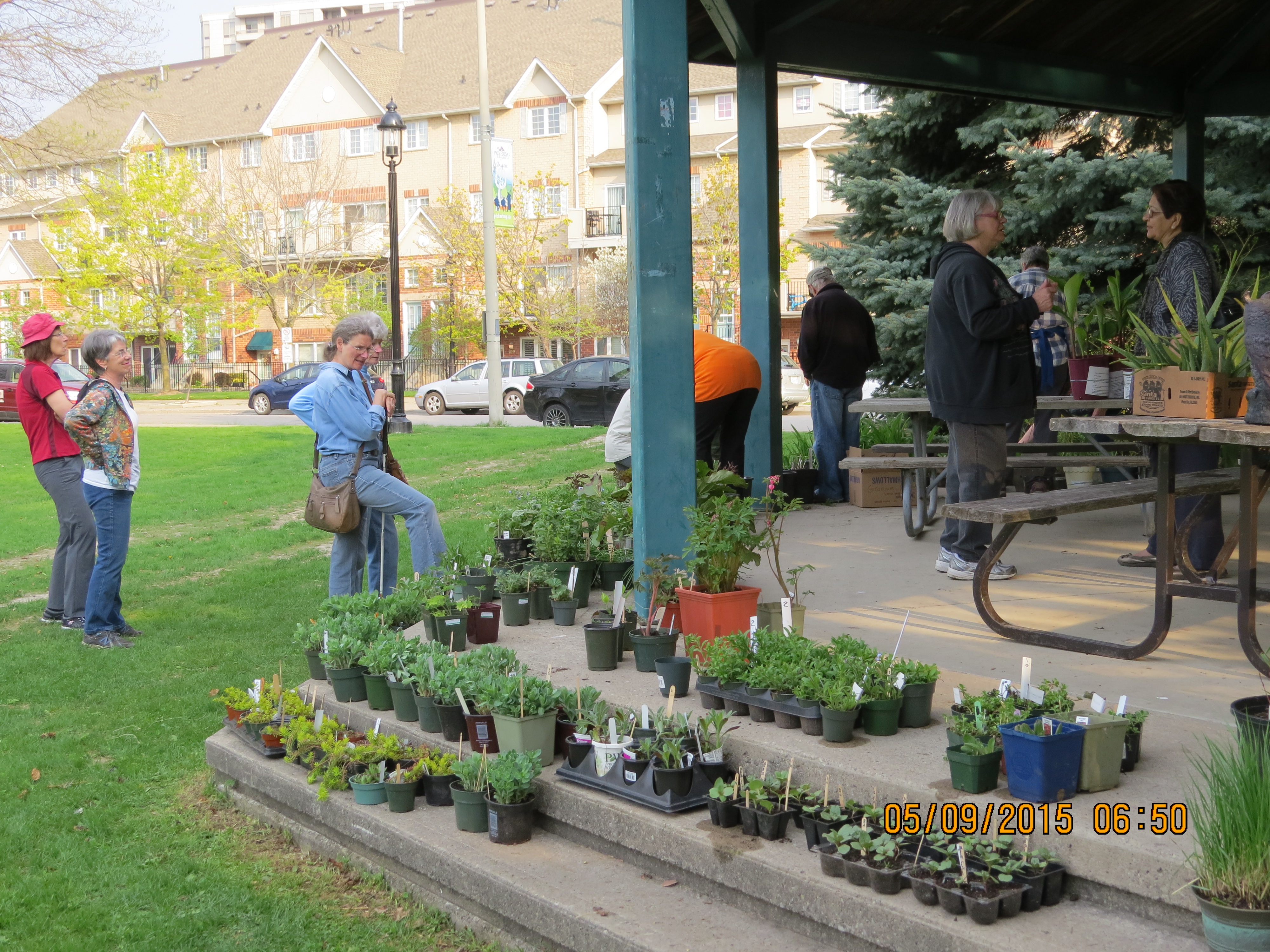Pickering Horticultural Society Photo Gallery 2015 Plant Sale