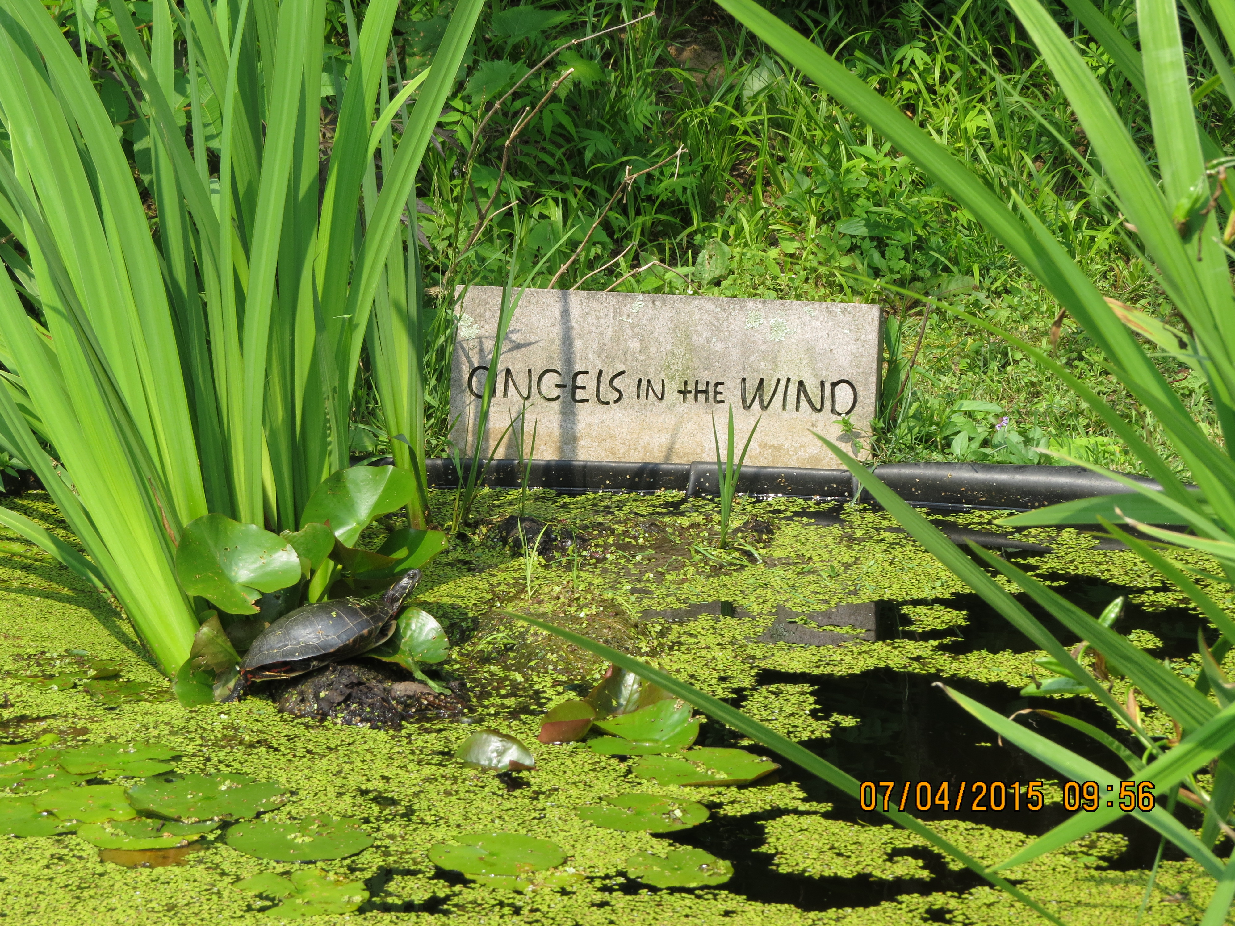 Pickering Horticultural Society Bus Tour