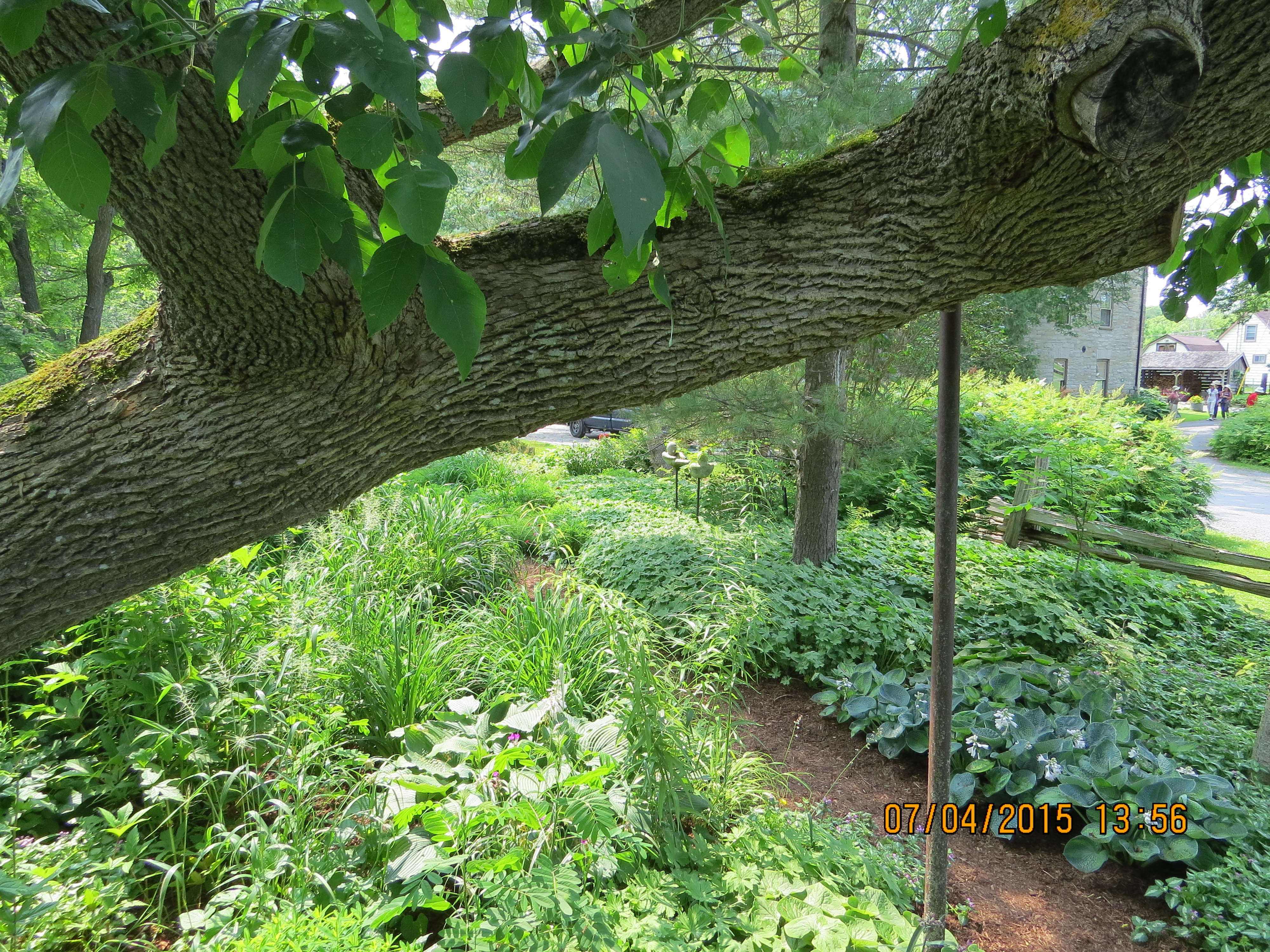 Pickering Horticultural Society Bus Tour
