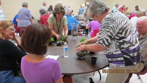 Workshop - Creating a Succulent Planter