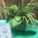Winning Design entry