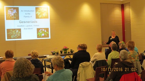 Judy Zinni - Growing African Violets