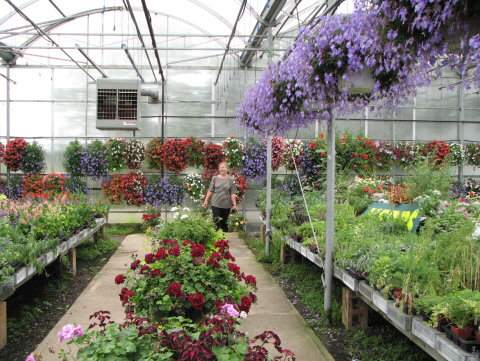 Pickering Horticultural Society Photo Gallery 2007 Bus Tour
