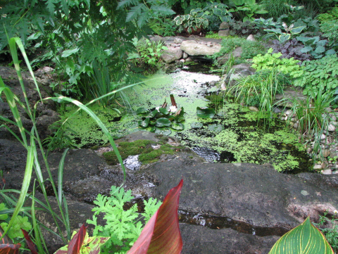 Pickering Horticultural Society Photo Gallery 2007 Bus Tour