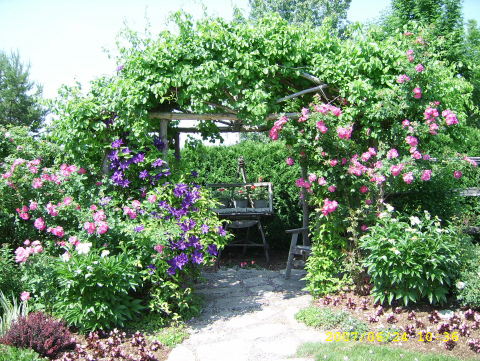 Pickering Horticultural Society Photo Gallery 2007 Garden Tour
