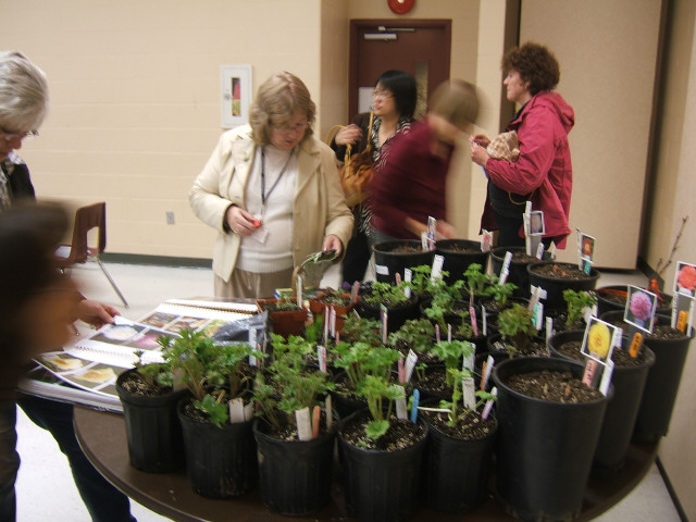 Pickering Horticultural Society Photo Gallery 2009